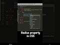 Border property in CSS #html #CSS #tutorial #webdeveloper #coding #developer #programmer #fullstack