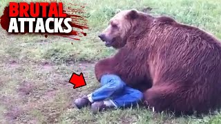 The Most HORRIFYING Bear Attacks MARATHON!