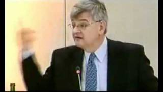 Joschka Fischer i am not convinced.flv