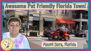 Dog's Rule in Mount Dora- Truly a Pet Friendly Town!