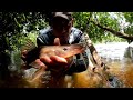 como pescar uma jurupoca. pescado e preparado às margens do rio.