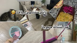 #تدابير #مطبخ #dalilyvlog  روتين غير نشاط كيفاه تخلي داركً نقي بطريقتي   تشهيت شكشوكة نص ليل ومطلوع