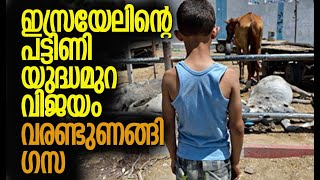 കൊല്ലപ്പെട്ട വളര്‍ത്തു മൃഗങ്ങളുടെ അമ്പരപ്പിക്കുന്ന കണക്ക് | Gaza | Israel | Kalakaumudi Online