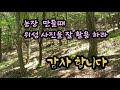 서민갑부 238회 가 말하는 귀농귀촌 산양삼씨앗 이것 모르면 뿌리지 마라. 1편. 2편 중 2편