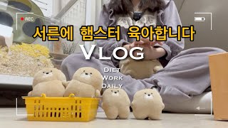 [vlog] 골든햄스터 알콩군 브이로그ㅣ손님이 찾아왔어요!ㅣ전체갈이 데이ㅣ집사 허리뽀샤짐ㅣ건강하게만 자라다오