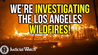 We’re Investigating the Los Angeles Wildfires!