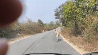 Ghat section Koundinya wildlife Sanctuary.  Falling in the least used Bengaluru Chennai Road.