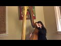 elizabeth austin harp— angelus by henrietta renié