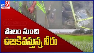 Peddapalli  : పొలం నుంచి ఉబికివస్తున్న నీరు  - TV9