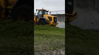 #jcb 435 on #buckrake duties #arimagery #shorts #silage2022 #tjmontgomerry #pitwork