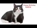 Ramya  Cats Gatos - Happy Birthday