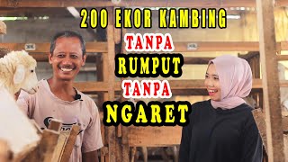 200 KAMBING TANPA NGARET TANPA RUMPUT TANPA CAPEK - TIPS DAN TRIK BERTERNAK KAMBING