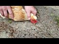 How to hypnotize a chicken