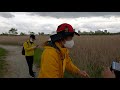 4k walking korea sorae swamp eco park