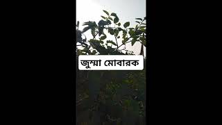 হে আল্লাহ তুমি আজকের দিনের উচিলায় আমাদের সকল গুনাহ মাফ করে দাও আমিন,জুম্মা মোবারক #My Love Allah