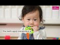 teething in toddler – symptoms u0026 remedies