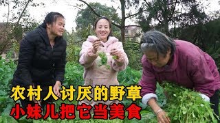 农村人最痛恨的野草，小妹儿把它做成美食，凉拌水晶萝卜吃过吗【川乡小妹儿】