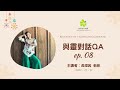 改名字也要向天界報告嗎？在靈界改名的正確步驟｜與靈對話qa精華 ep 08