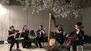 Orchestra for celebration-תזמורת לאירוע,  לחופה, נגנים לקבלת פנים, לבר מצווה, מוסיקה חיה לאירוע