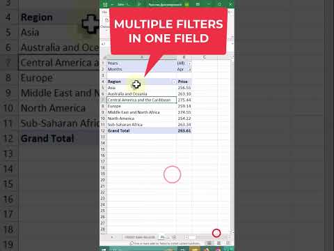 Múltiples filtros en un campo de tabla dinámica