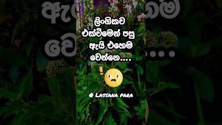 අන්‍තිමට ඇයි සමහර අයට එහෙම👀😮👍#shortvideo #foryou #facts #sinhala #viral #education #shorts