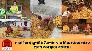 দেখুন কিভাবে সুপারি তৈরি হয়? Betel Nut | Divya Tv |