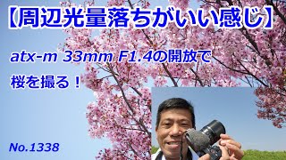 【周辺光量落ちがいい感じ】トキナーatx-m 33mm F1.4で桜を撮る（動画No.1338）