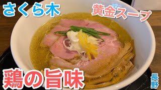 麺が旨くて大盛り無料！輝く黄金スープが美しい鶏塩らぁ麺【さくら木/長野】#395