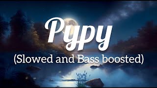 Pypy (Slowed and Bass boosted) use headphones