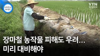 장마철 농작물 피해도 우려...미리 대비해야 / YTN 사이언스