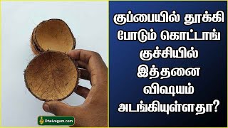 நாம் குப்பையில் தூக்கி போடும் கொட்டாங்குச்சியில் இத்தனை விஷயம் அடங்கியுள்ளதா?