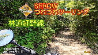 SEROWつれづれツーリング 林道細野線(往) 千葉県君津市大戸見 2024年5月10日 Hosono line Kimitsu otomi