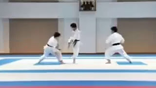 Budo Techniques and Power