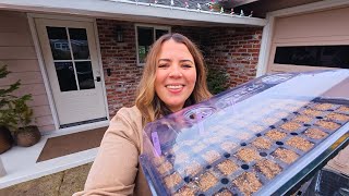 My Secrets To Starting Thousands of Flower Seeds: Tips & Tricks For The Best Seed Starting Results!