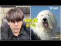 【17live】零九意外撞臉古代牧羊犬！鋒澤差點露出不該露的？｜回顧九澤精彩直播片段