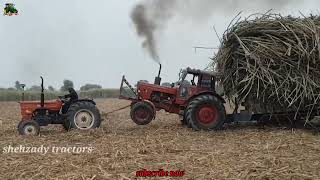 New Holland Tractor Sugarcane Load Trolley Fail In Mud | Belarus 510 Tractor Stunts Video