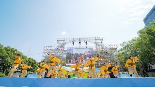 [4K] 江南よさこい連～kohga～　にっぽんど真ん中祭り 2019 どまつり 日曜日