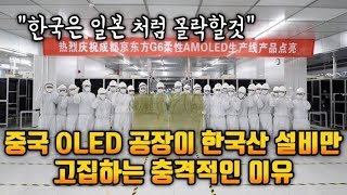 중국 OLED 공장이 한국산 설비만 고집하는 충격적인 이유