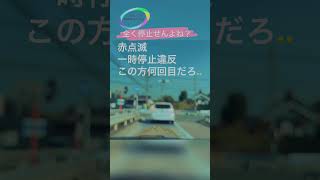 【信号無視常習】いつもの赤点滅信号🚥Vol.S210#shorts #cars