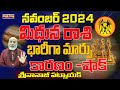 భారీగా మార్పు | MITHUNA RASI NOVEMBER 2024 TELUGU | NOVEMBER 2024 MITHUNA RASI | #NANAJI PATNAIK