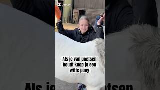 Als je van poetsen houdt…