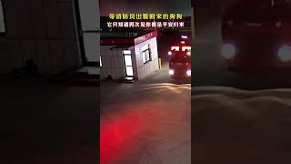 消防员出警狗狗在门口等其平安归来。网友：它知道再次见你便是平安归来！来源@济宁消防 #消防员 #蓝朋友 #平安归来 #shorts