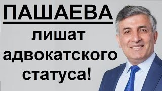 Знакомьтесь! Новый адвокат Ефремова!