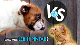 LEBIH PINTAR ANJING ATAU KUCING? | FAKTA ATAU MITOS Episode 4