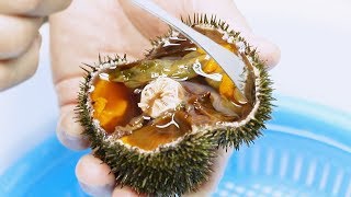 《ウニのむき方》 エゾバフンウニ × 小型出刃包丁 Uni (Sea urchin) cutting