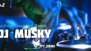 MadhanaPoovadiyil Remix (DJ Musky) Mappilapaattu Remix | മദനപ്പൂവാടിയിൽ Mappila Paattu | Album Remix