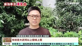 美極了！　北大武山迎霧淞　銀白世界超夢幻｜華視台語新聞 2024.01.24