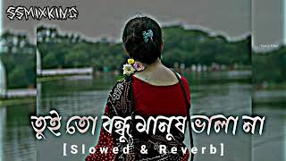 Tui to Bondhu Manush Valo na ( তুই তো বন্ধু মানুষ ভালো না [ Slowed + Reverd ] @Lo-Fi_world089