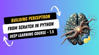 DL 1.5. Building Perceptron from scratch in Python | Deep Learning Course