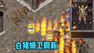 热血传奇怀旧版：行会清封魔殿 白猪蝎卫刷新